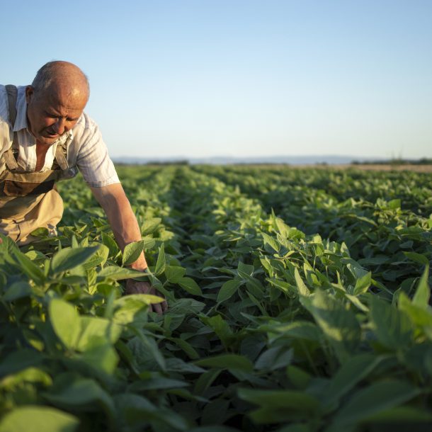 Santa Catarina se destaca no agronegócio