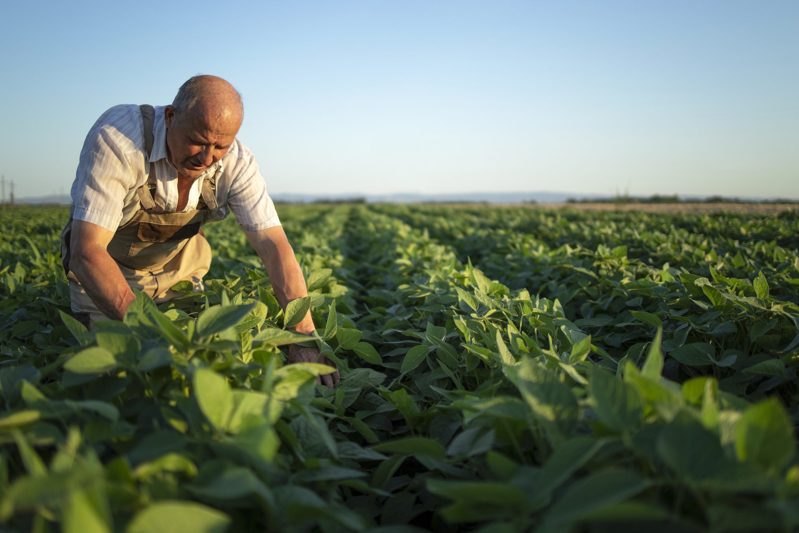 Santa Catarina se destaca no agronegócio