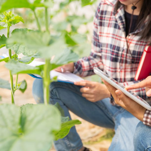 Inteligência artificial no agro.